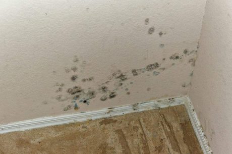 water damage