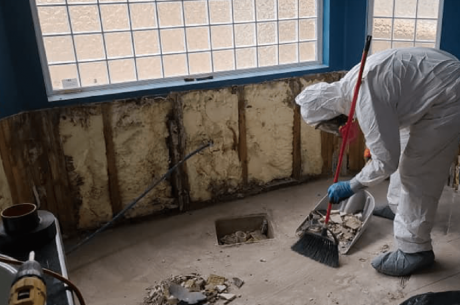 Mold remediation in Scottsdale AZ homes