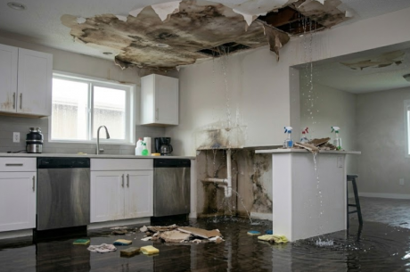 Expert Ceiling Water Damage Repair in Scottsdale, Arizona