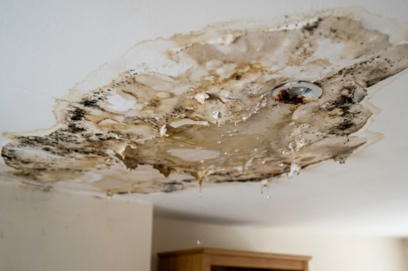 Ceiling Water Damage Repair Scottsdale AZ