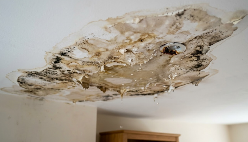 Ceiling Water Damage Repair Scottsdale AZ