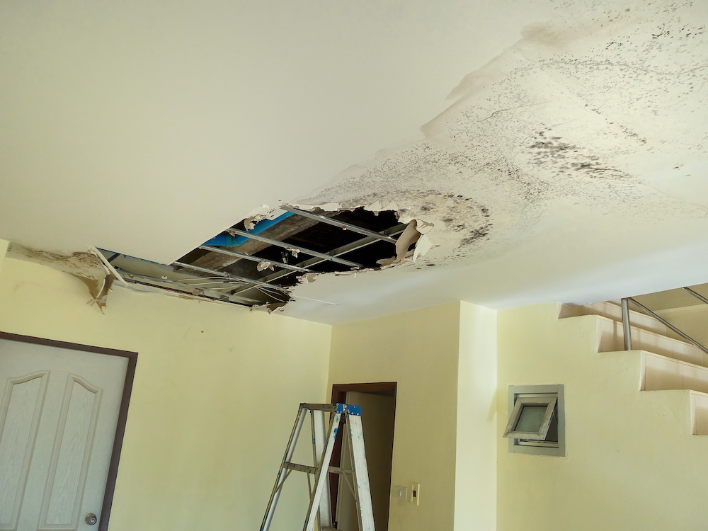 A roof leak that has caused extensive damage to a ceiling