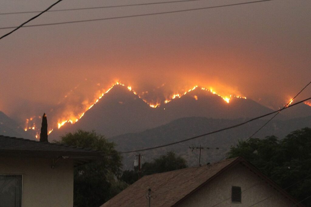 Natural Disasters