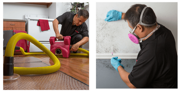 Remediation and Restoration