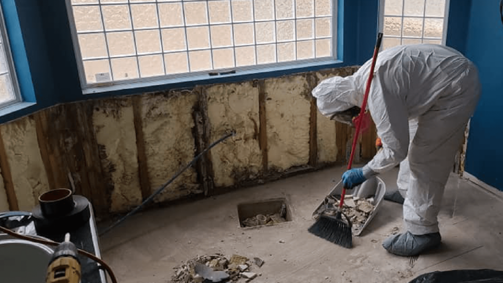 Mold remediation in Scottsdale AZ homes
