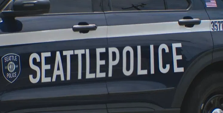 drug cleanup seattle