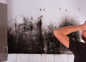 Seattle mold cleanup and signs or symptoms