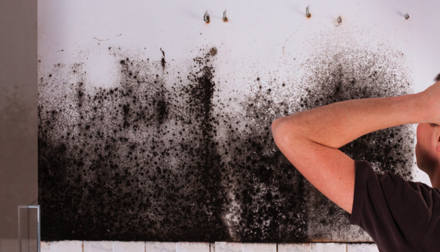 Seattle mold cleanup and signs or symptoms