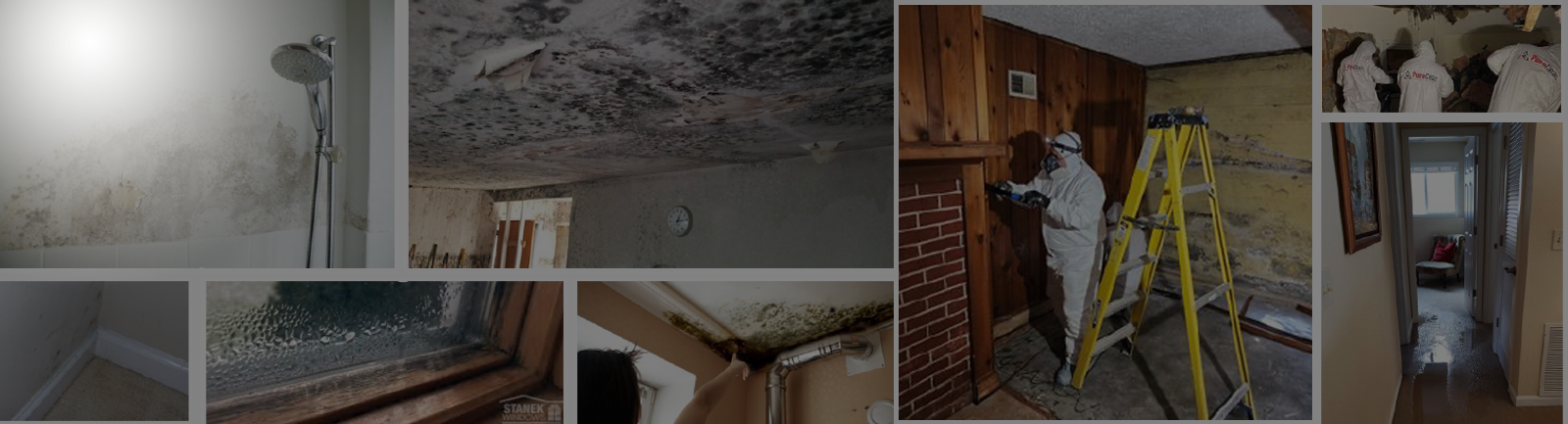 mold cleanup seattle hero image