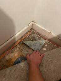 Mold growth after water damage in Secaucus Homes. Call Puroclean of Secaucus 
