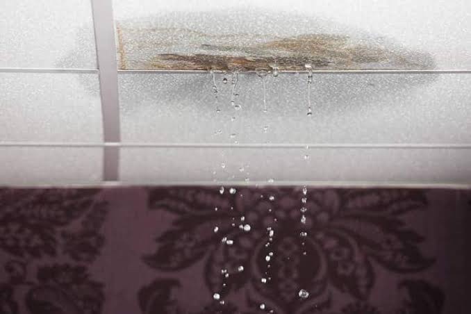 Don’t Let Water Damage Steal the Joy of Your Holidays