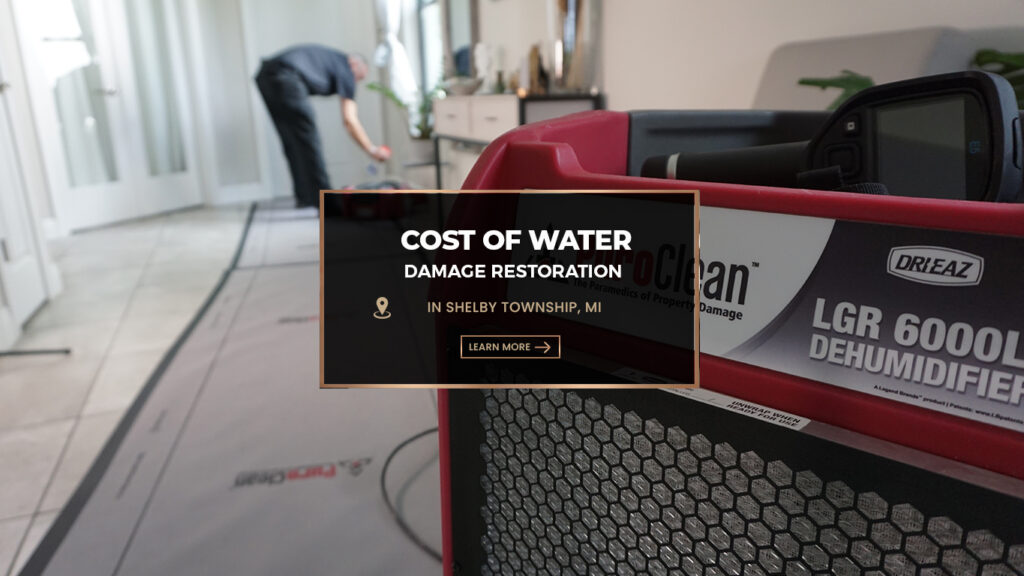 Water damage technician with a dehumidifier and thermal camera in