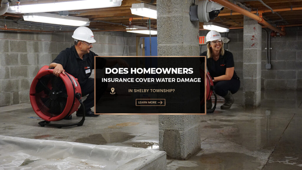 Water damage restoration crew drying a flooded basement in Shelby Township,