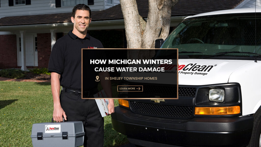 PureClean technician with toolbox and van, showing text about