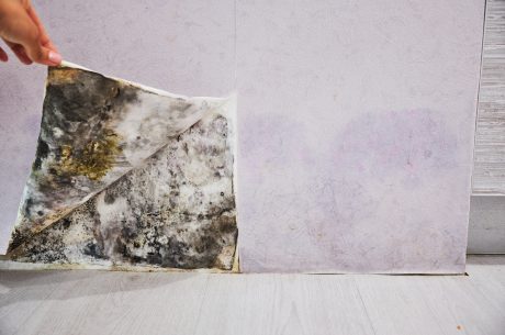 Check your closet for mold.