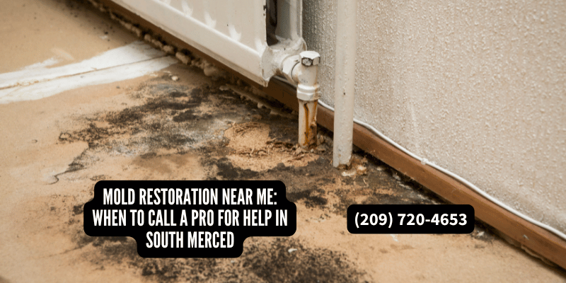 Mold restoration near me