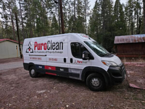 Restoration Company Near Me