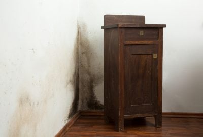 how to detect mold in walls
