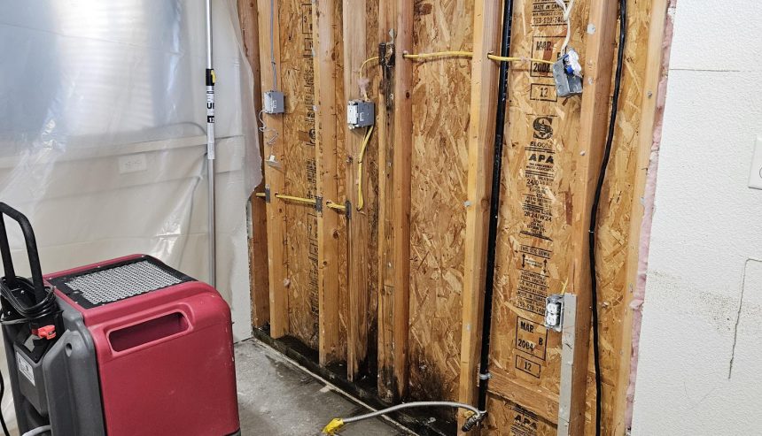 Top Restoration Companies Near Me