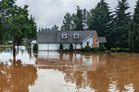 Water Mitigation in Stockton