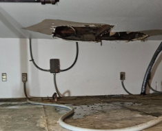mold removal in south merced