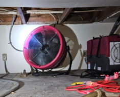 mold removal in south merced