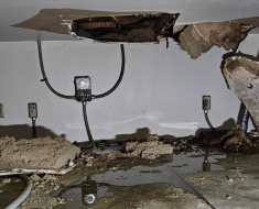 Mold Removal and remediation