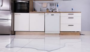 Cabinet Water Damage Restoration