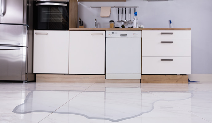 Cabinet Water Damage Restoration