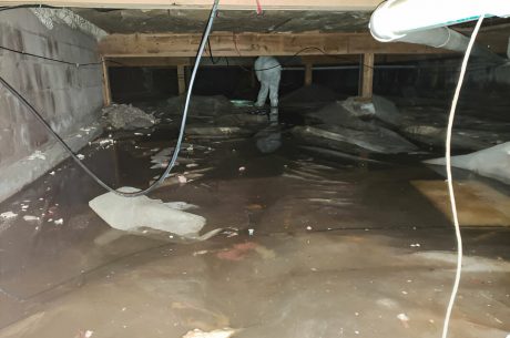Basement Flood Restoration