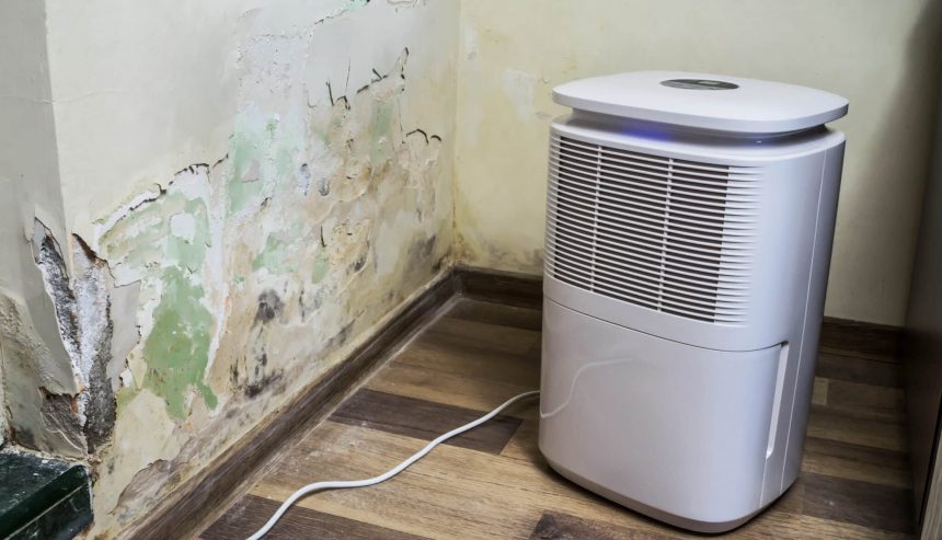 Mold Removal in South Merced
