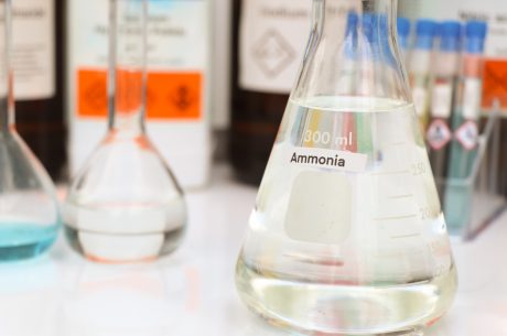 Does Ammonia Kill Mold Spores in the Air
