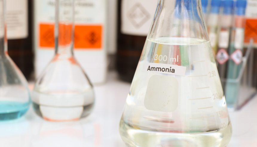Does Ammonia Kill Mold Spores in the Air