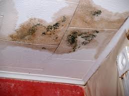 Water Damage on Ceiling