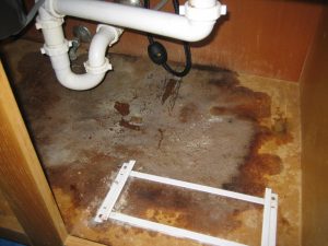 How to Protect Kitchen Cabinets from Water Leaks
