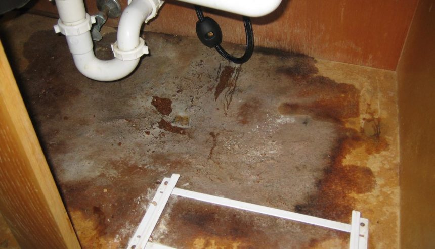 How to Protect Kitchen Cabinets from Water Leaks