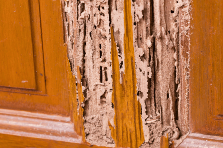 Water Damaged Cabinets in Merced