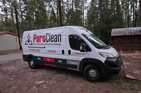 Restoration Company Near Me