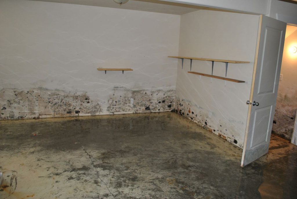 mold damage restoration in Fresno