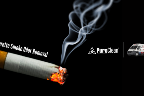 Cigarette Smoke Odor Removal