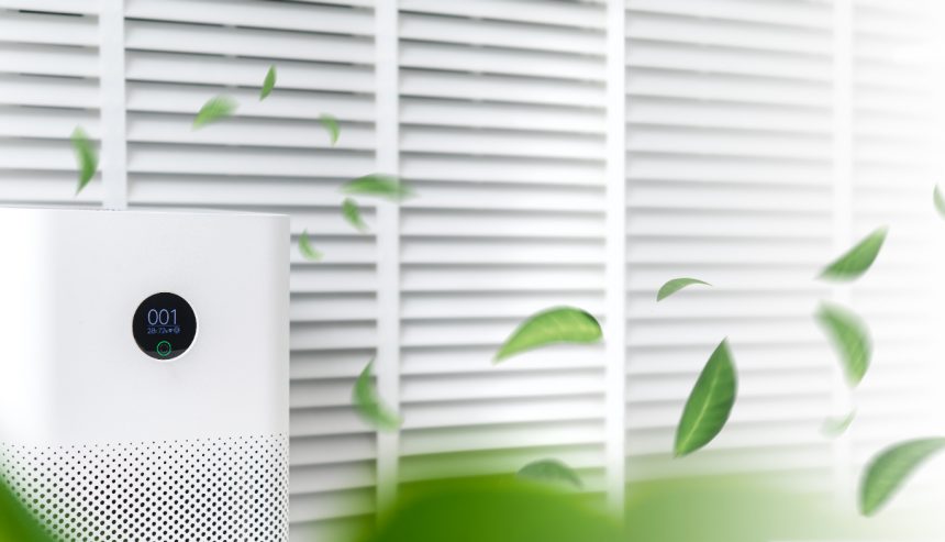 Top 10 Mold Prevention Tips After Remediation in South Onslow