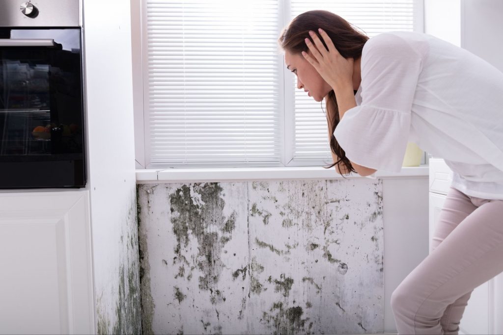 homeowner discovering mold removal
