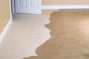 water damage on carpet near a door