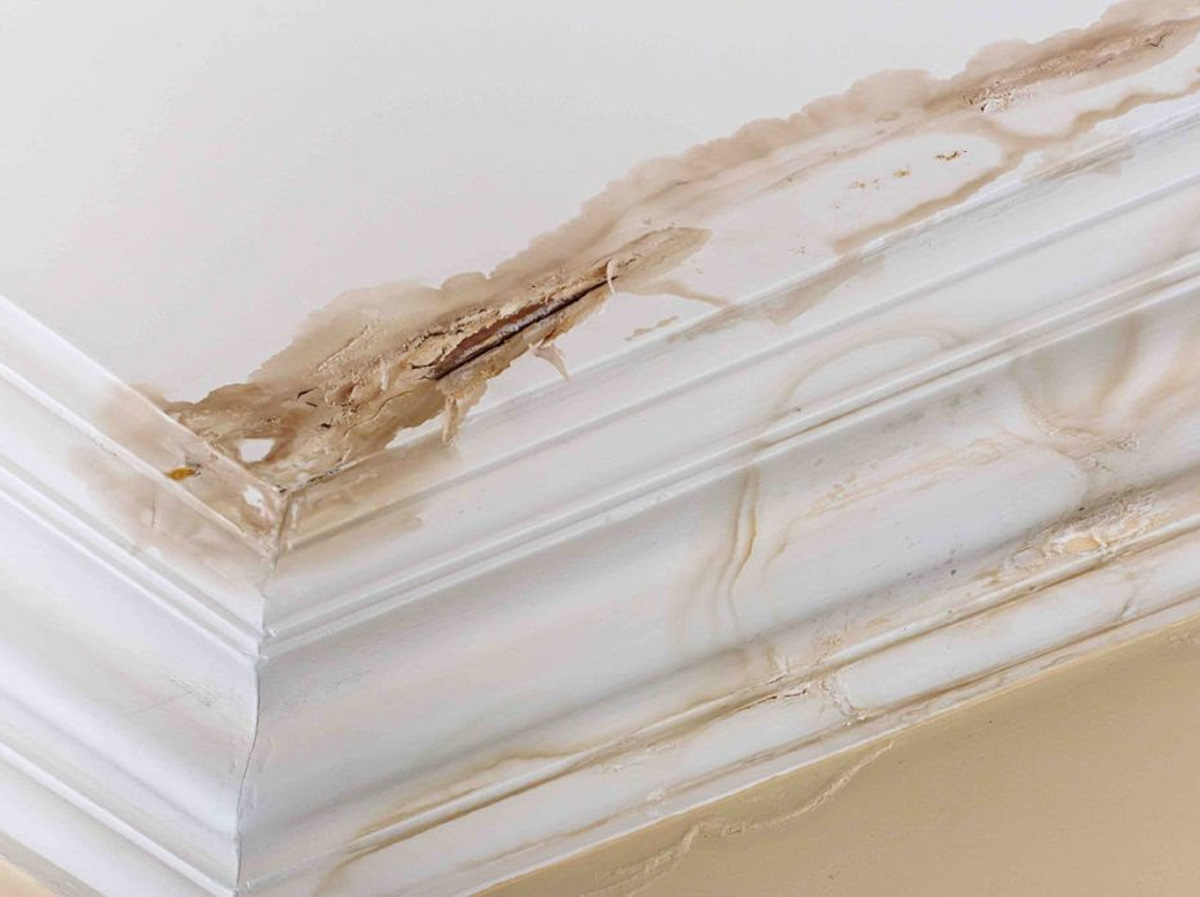 Water Damage Repair: Your Complete How-To Guide