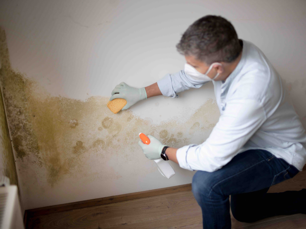 Black Mold in Your AC: Symptoms and Solutions