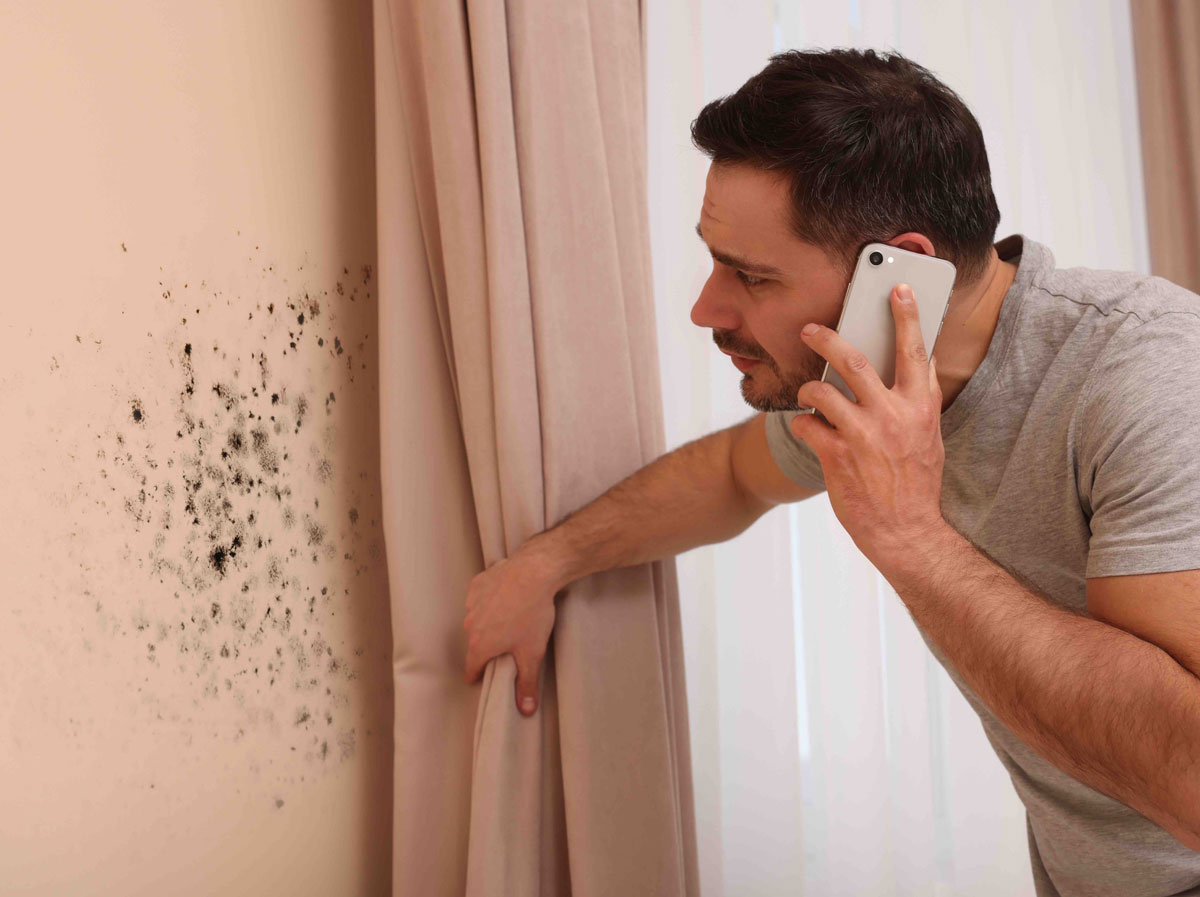 Mold Remediation Costs: What to Expect
