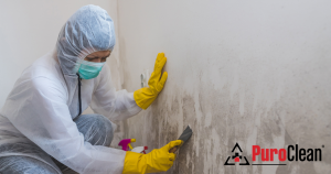 Easy Guide to Clean Smoke Damage on Walls & Ceilings