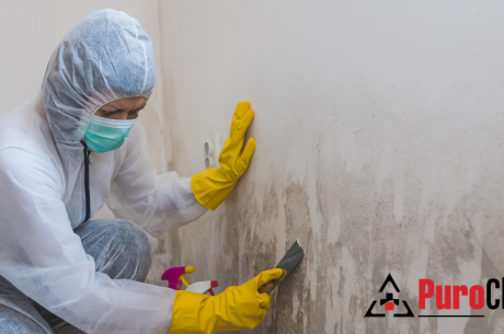 Easy Guide to Clean Smoke Damage on Walls & Ceilings