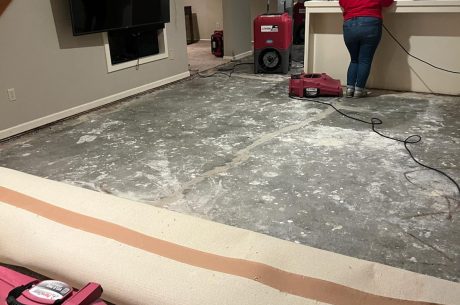 Top 5 Water Damage Restoration Tips for Spring Branch Homeowners (2024 Update)