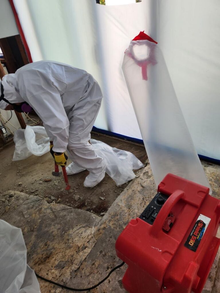 Our technician removing mold growth soaked into the flooring.